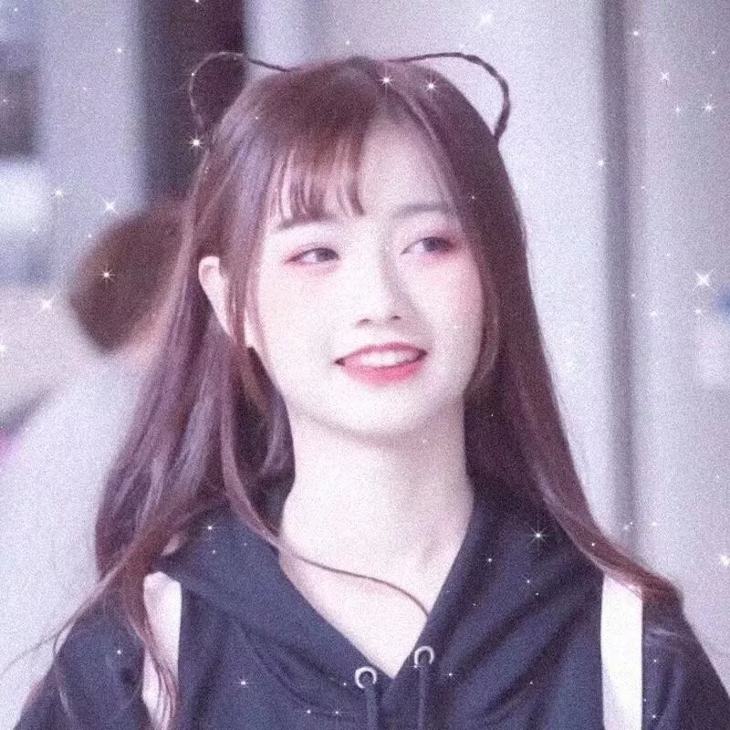 花园蜘蛛